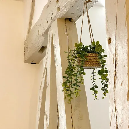Cosy & Boheme - Quartier Cauchoise * روان